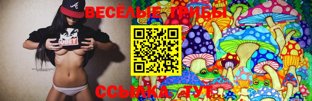 Галлюциногенные грибы Psilocybe Валуйки